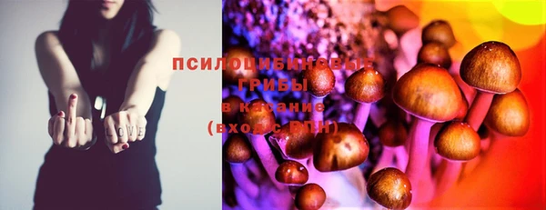спиды Михайловск