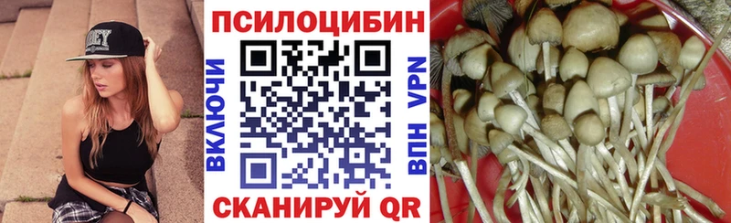 Псилоцибиновые грибы Psilocybine cubensis  сколько стоит  Гаврилов Посад 